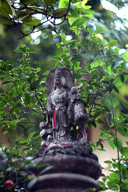 http://www.baodatviet.vn/Uploaded_CDCA/quocquan/20110217/cdv-ltqs-2.jpg
